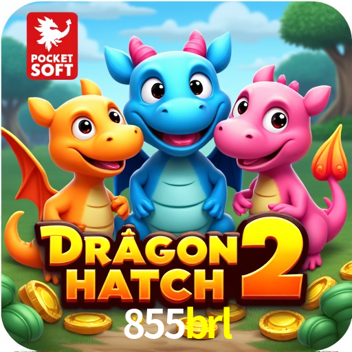 855brl: Seu Cassino Premiado com Pagamentos Rápidos